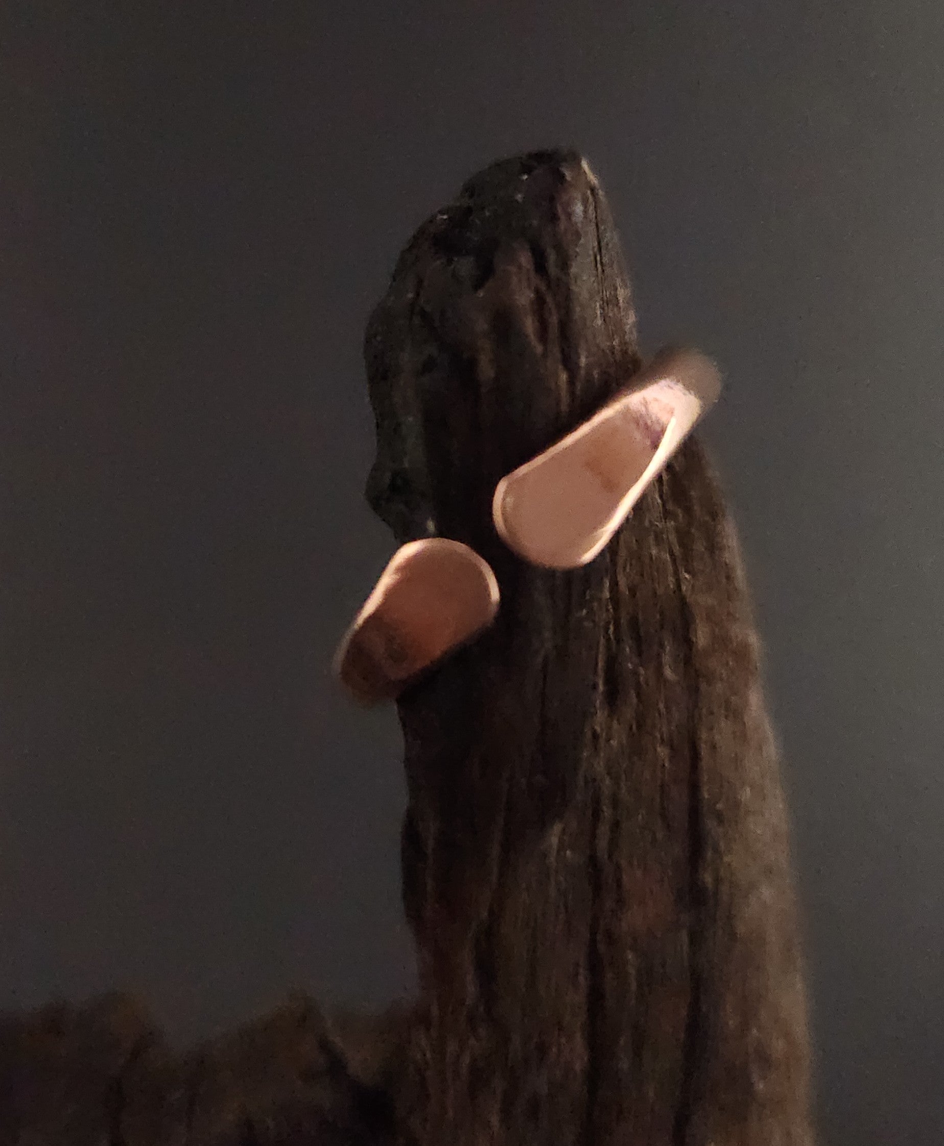 The Adaptive Flow Ring