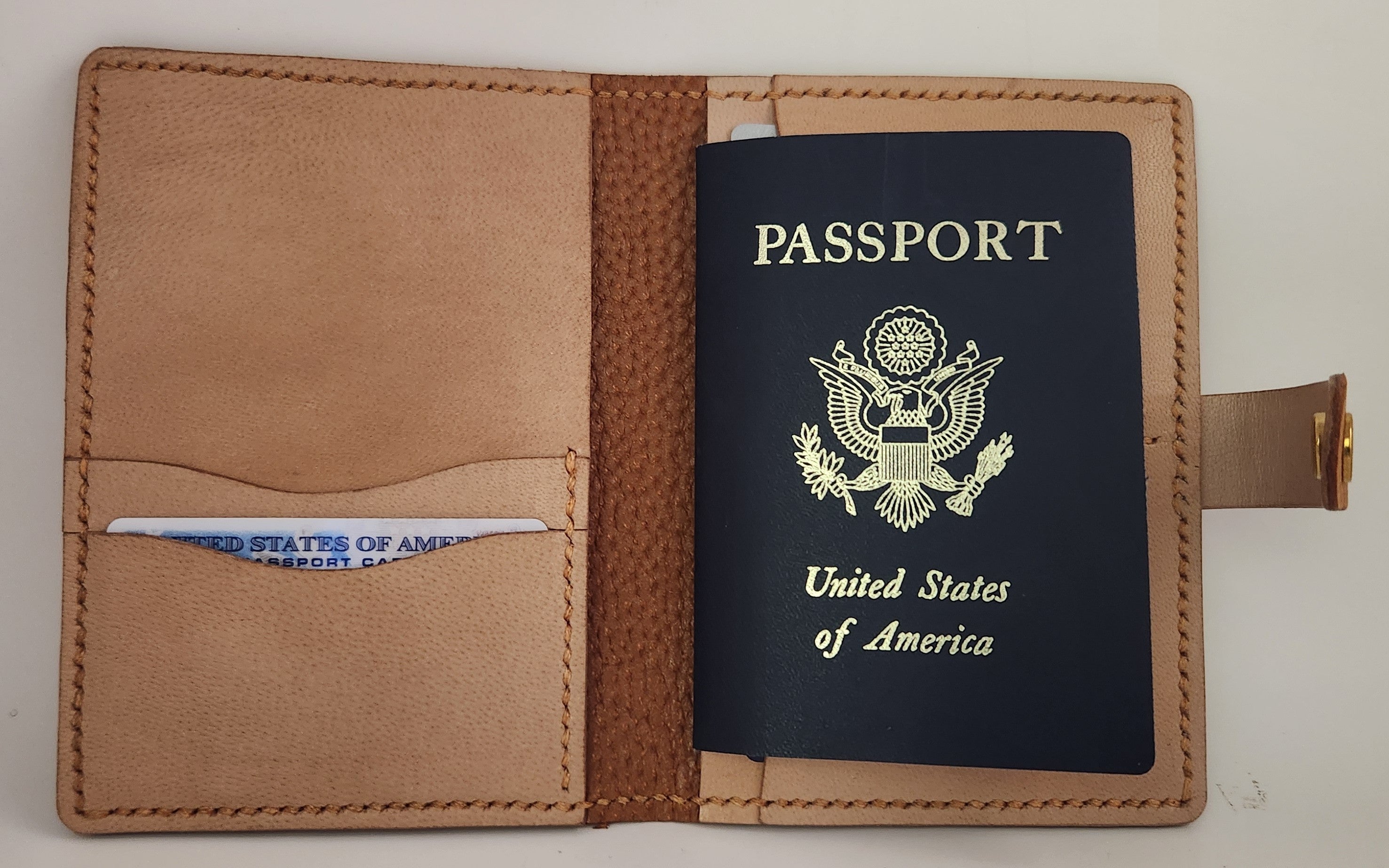 Cayenne Goatskin & Leather Passport Organizer