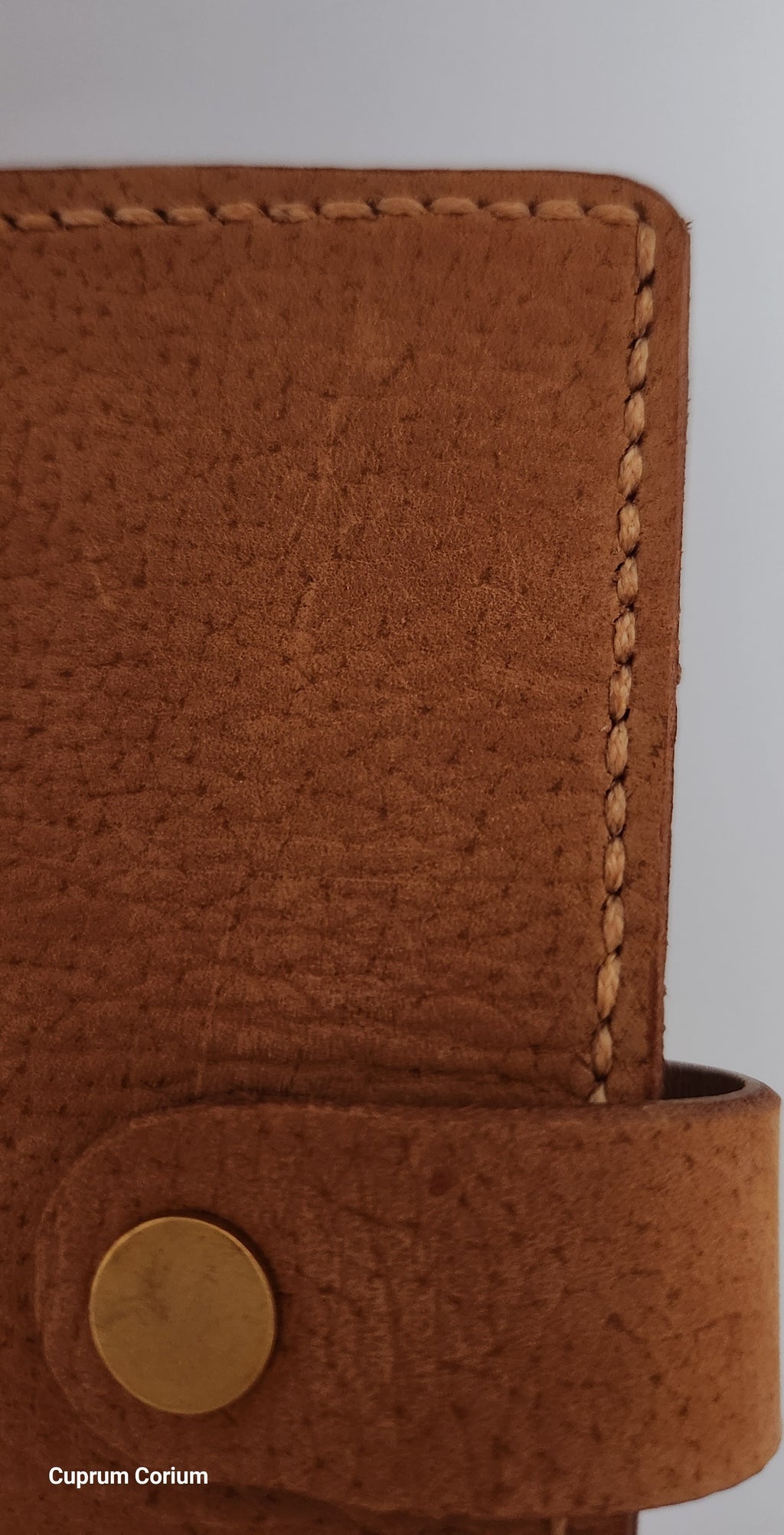 Cayenne Goatskin & Leather Passport Organizer