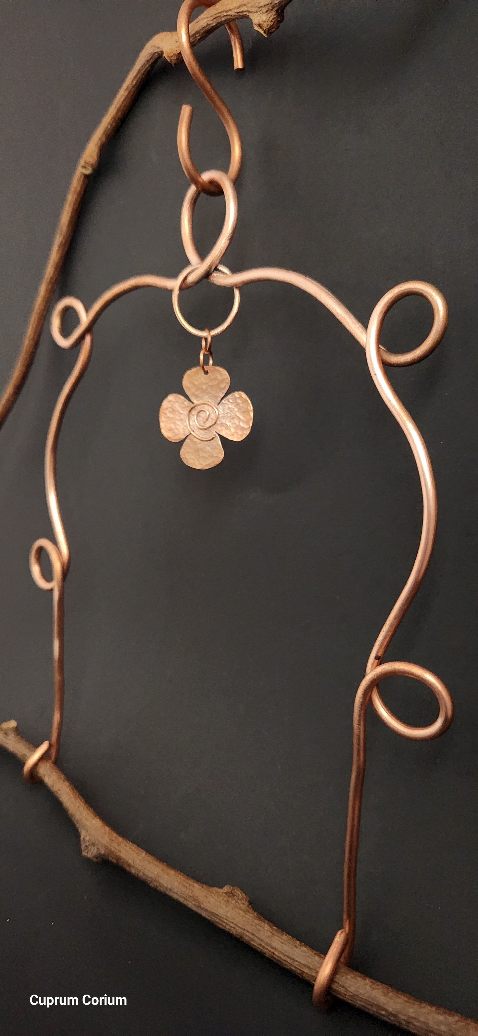 Spiraled Petal Hummingbird Perch