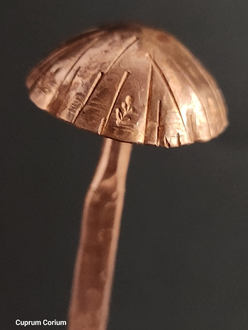 Mushroom Bookmark
